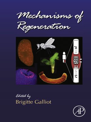 cover image of Mechanisms of Regeneration